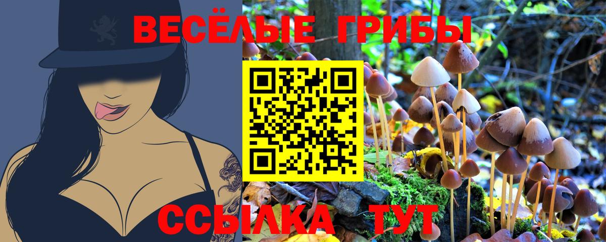 Псилоцибиновые грибы ЛСД Саратов